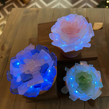 05-23-24 (Thursday)Sea Glass Succulents Workshop at Sugarbakers Cocktail Lounge 6pm (SOLD OUT)
