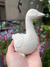 Desk Goose Party in a Box