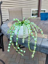 06-13-25 Beaded String Of Pearls Plant Workshop 6pm