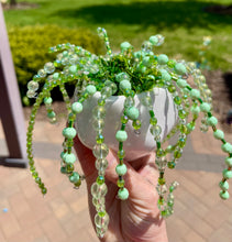 06-13-25 Beaded String Of Pearls Plant Workshop 6pm