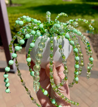 06-13-25 Beaded String Of Pearls Plant Workshop 6pm
