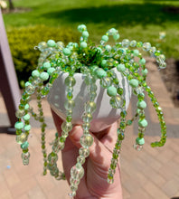 06-13-25 Beaded String Of Pearls Plant Workshop 6pm