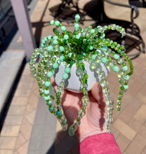 06-13-25 Beaded String Of Pearls Plant Workshop 6pm