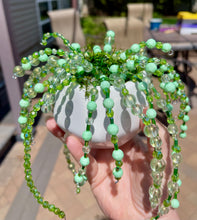 06-13-25 Beaded String Of Pearls Plant Workshop 6pm