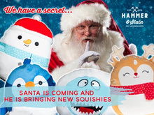 12-09-23 (Saturday) Squishies with Santa! 2:30pm (SOLD OUT)