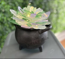 09-20-25 Sea Glass Sanderson Sisters 1-4pm