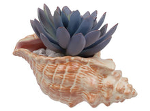 Ceramic Take Home Kits