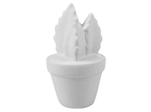 Ceramic Take Home Kits