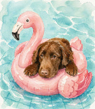 07-15-26 Paws in Paradise: Paint Your Pet on a Flamingo Float 6pm