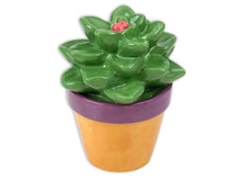 Ceramic Take Home Kits