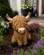 10-08-26 Sitting Hairy Highland Cow Paint Party 6pm